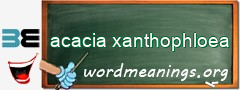 WordMeaning blackboard for acacia xanthophloea